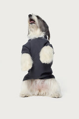 Bonney Bow Pet Hoodie