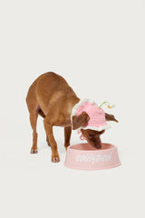 Bone Appetit Pet Bowl