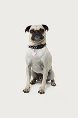 Heart Throb Collar Charm