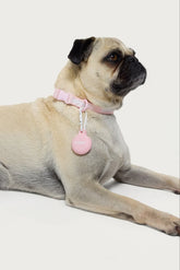 Edikted GPS Tag Holder