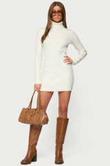 Turtle Neck Ribbed Knit Mini Dress
