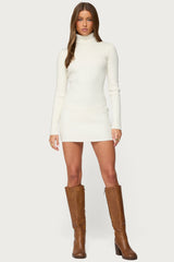 Turtle Neck Ribbed Knit Mini Dress