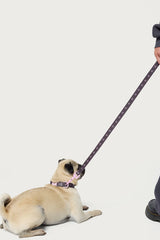 Bonney Bow Pet Leash