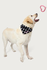 Fetching Heart Rope Toy