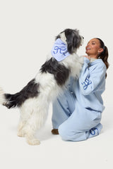 Bonney Bow Pet Bandana